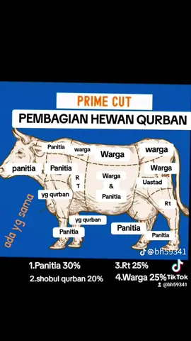 sapi qurban#sapiqurban #iduladha #islam #memelucu #algoritmatiktok #fyp #fyp #viraltiktok 