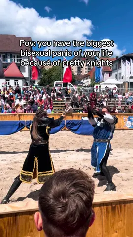 Still not over them tbh #fyp #fypシ #knight #knights #dnd #dndtiktok #medievaltiktok #lgbt #lgbtq #bi #bisexual🏳️‍🌈 