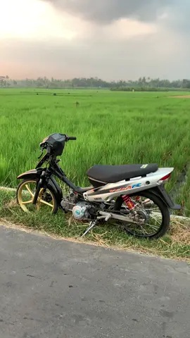 Kalter terlalu mencolok warnane🤣🗿 #vegagank #vegaherex #yamahavega #vegaold #vega4st #vegar #5tpmenolakpunah #5tpgank #4stgank #sleepengine200 #bebekjahat #yamaha #foryoupage #foryou #fyp #xyzbca 