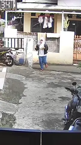 malah ngamuk #iduladha #sapingamuk #sapijumbo 