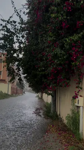 #fyp #rain #بلجرشي #مطر #ترند 