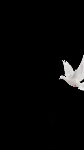 #soodalbo_xarafka_aad_rabto⚘❤👸 #somalilandtiktok💚🤍❤ 