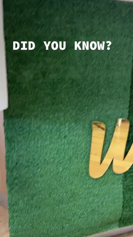 Did you know that we do hair treatments and take kn walk-in appointments? #creatorsearchinsights #Love #hair #hairstyle #beauty #BeautyTok #beautytips #spa #spabeauty #glowing #baby #annoorbeauty #kdrama #skincare #skin 