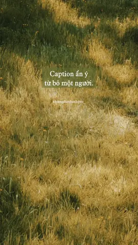 Có câu nào ẩn ý từ bỏ một người?  #nhungdieubinhyen_ #xuhuong #xuhuongtiktok 