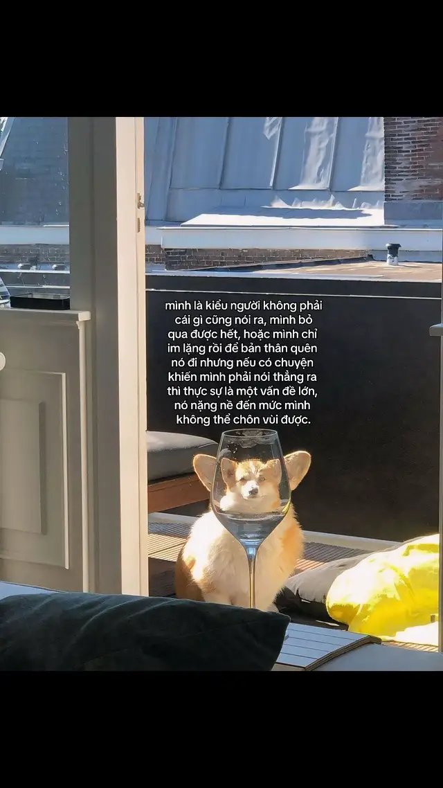 #caption #story #foryou #captiontamtrang #fyp #fyb #fypシ゚ ##xuhuong##xh