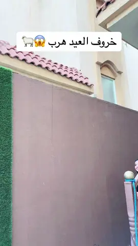 #fyp #اسماء_السياري لا تفوتكم عيديات #يورباي 😍 دوّر #خروف_urpay وفوز بالعيديات 🐏 اعلان @urpay.sa واذا مالحقت لاتشيل هم ترا الجوائز تنضاف يومياً وكل اللي عليك تسويه تفعل التنبيهات وفالك الفوز 🤩 #خروف_urpay