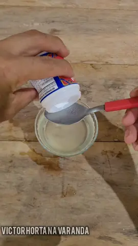 Melhor mata mosca caseiro #cozinha #cozinhando #donadecasa #victorhortanavaranda #mosca 