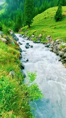 #منظر_طبيعي_رائع #فيديو هادئ للطبيعه#اماكن جميله في النمسا جمال الطبيه في سويسرا 🇨🇭  #جمال الطبيعه حول العالم 🌎 