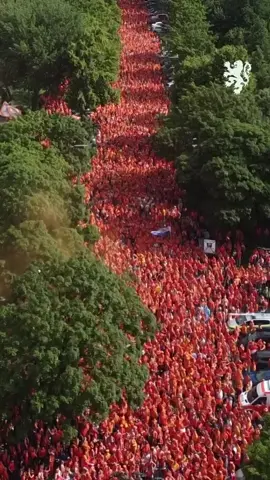 MAR LARANJA! Se liga na festa da torcida dos holandeses! 🧡🏟️🤯 🎥 onsoranje #EURO2024 #Holanda #FutebolInternacional