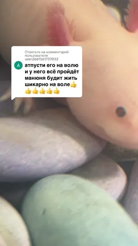 Ответ пользователю @user2661561737032 Аксолотль Манюня.  #Lifestyle #longersvideos #большеминуты #аксолотльманюня #axolotl #lifestory 