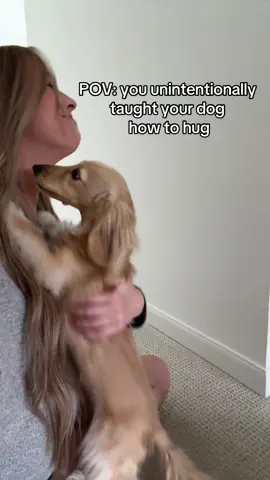 These two never fail to make me smile and laugh so hard I get a double chin 🥲🫶🏼 #dog #dachshund #dogsoftiktok 