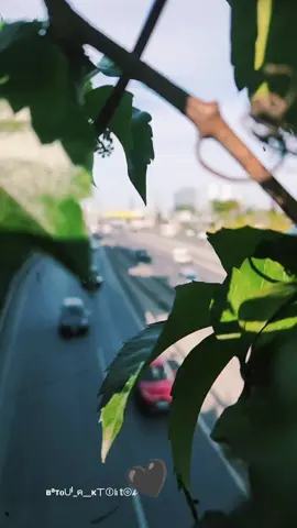 #الحمدلله_دائماً_وابداً #🕊 #تصويري_احترافي #لحظاتي_الصغيرة_تصنع_ذكرياتي_الكبيرة #عالم_تيك_توك #اكسبلور_تيك_توك #⚖️ #تركيا🇹🇷اسطنبول_سوريا_💔حلب_المغرب_إدلب_ #🖤🥀 #🕯 