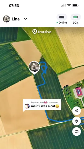 Replying to @jena🎀 going places 😸🐾 #tractive #tractivegps #gpstracker #gps #gpsforcats #catsoftiktok #catwalk #outdoorcat #catsvideo #catstory 
