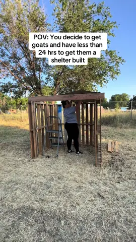 You have GOAT to be kidding me…😏🐐 You’re not gonna want to miss out on this next adventure so be sure to follow along!  #homestead #homesteading #homesteadlife #homesteader #homesteaders #homesteadliving #goat #goatlife #goatfarm #babygoats #nigeriandwarfgoats #nigeriandwarfgoat