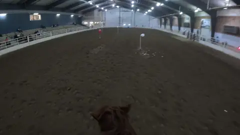 Here to my boy bring me a ladies 3 win and breaking that 13 second time💜#cmsa #cowboymountedshooting #cowboymountedshootingassosiation #cowboymountedshooters #iowastate #girlsandguns 