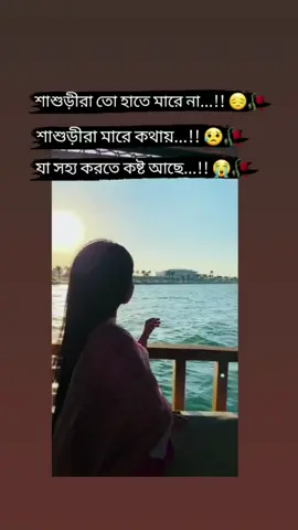 দুবাই প্রবাসীর বউ ✈️✈️ #vairal #vairalvideo #vairal_video_tiktok #foryoupage #foryou #tiktok 