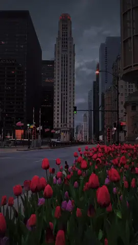 #happiness #happiness #crushing #pintetestvideos #pinterestvibes #pintrestaesthetic #pintrest #landscape #dark #virial_tiktok #viral #aesthetic #aesthicvibes #aestheticvideos #aestheticediting #city #cityviews #cityview #cityviewcheck #cityaesthetic #redflowers #flowers #citynightviews #citynightlife 
