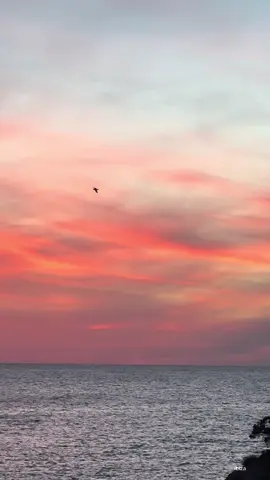 ibiza sunsets >>>>                            #fyp #ibiza #sunset