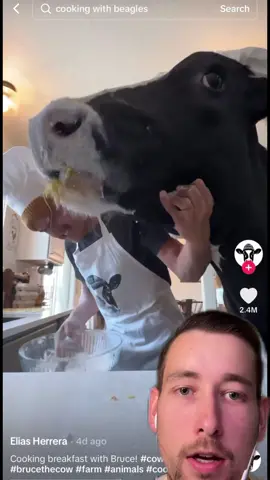 @Elias Herrera why is he acting like an animal #cooking #cows #react 