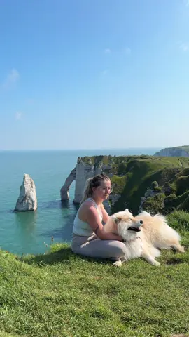 Ce son resume tout mon amour pour toi 💫🥹 #dogslifestyle #eurasier #lovemydog #doglovers #eurasierfrance #youandme #eurasierofinstagram #animallover #funnydogs #beautifull #animalsoftiktok #myanimal #