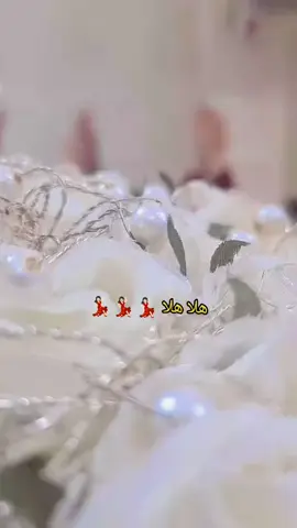 #اجواء #عرس #عرس #هلا #💃🏻 #🎉 #قاعة #شهرزاد 
