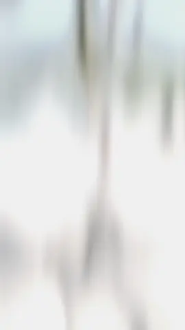 #สปีดสโลว์ #สโลว์สมูท  #отпуск2024 #CapCut #начинаетсялето #vietnamtoiyeu #хочуврекомендации #хочуврек 