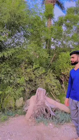 Eid Mubarak ❤️❤️