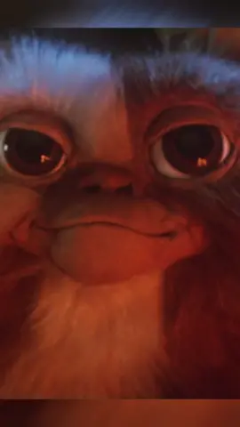 Meet Gizmo The Gremlins #movieclips #movie 