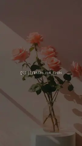 Rosas 🌹🥀 #laorejadevangogh #rosas #song #musica #music #sweetmelody #fypviralシ #fypシ゚viral #Viral #fypシ #fyp #amor 