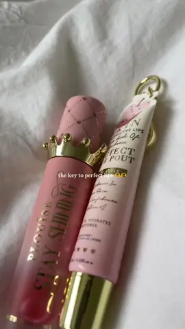 comment ur fav ones!! #fyp #foryoupage #TikTokShop #cheap #Summer #pluoise #pluoisemakeup #lipcare #lipgloss #lip #healthylips #healthyskin #skincare #lipbalm 