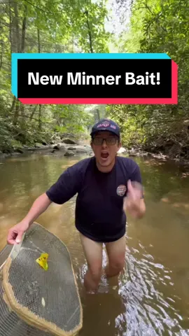 Replying to @✟ Whoch do uou think will catch the most? #minners #minnerboom2024 