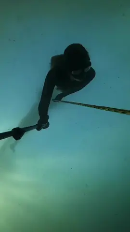 السباحة الحرة💗هل هي من هواياتك#foryou #viral #swimming #Diving#sea #Atlantic Ocean