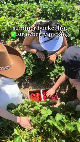 summer bucket list: strawberry picking!!🍓 #strawberrypicking #summerbucketlist #hotgirlsummer #josieliu #foryoupage #fypツ 