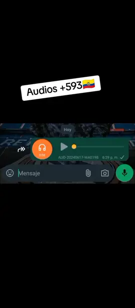 Ha pesar de silenciar el grupo siguen enviando más sms y documentos. 😑 #593ecuador🇪🇨 #videogracioso #humor #audioswhatsapp #fyp 