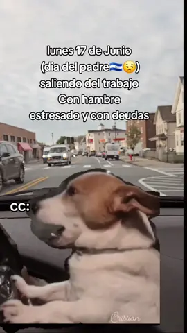 #CapCut #meme #chistoso #flypシ #😅 