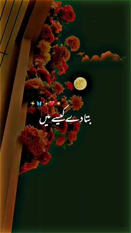 𝙃𝙪𝙢𝙣𝙖𝙫𝙖 𝙈𝙚𝙧𝙚 𝙏𝙪 𝙝𝙖𝙞 𝙏𝙪 𝙈𝙚𝙧𝙞 𝙎𝙖𝙣𝙨𝙖𝙞𝙣 𝘾𝙝𝙖𝙡𝙚#song #romanticsongs #foryou #foryoupage  #standwithkashmir #MagicAnimation #viral #fyp 