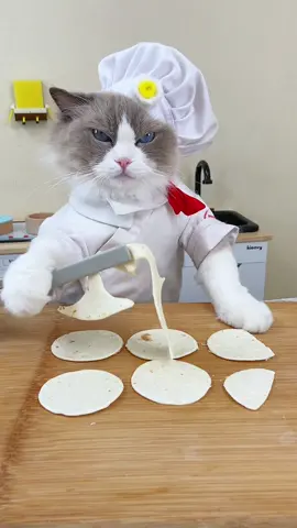 🥟✨ Hear that sizzle? Puff is whipping up some ASMR fried dumplings! Tune in for the crispiest, crunchiest sound bites! 🎧 #PuffCooks #ASMRKitchen #ThatLittlePuff 