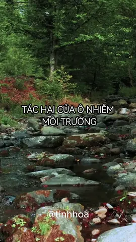 Tác hại của ô nhiễm môi trường #tinhhoabooks #tinhhoacare #sachsuckhoe #sachdinhduong #suckhoe #dinhduong #xuhuongtiktok