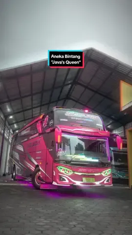Pink Tomboy 💋 #cinematicbus #storybis #videobus #videobusindonesia #bismania #sukafotobus #fyp #fypシ゚viral #anekabintang #javasqueen   @lan_pratama5 @official.aneka.bintang 