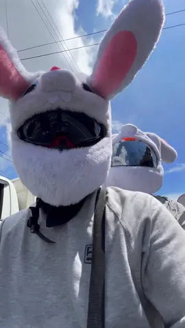 If you want to order just click the yellow basket 👇 #everyone  #bunny #rabbit #bunnyhelmetcover