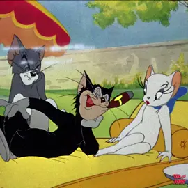 【✨🐱 #推しはトムジェリ 🐭✨】  今週はみんなのアイドル「トゥードルス」✨  トムもブッチもゾッコンな様子💘あの手この手で振り向かせようと必死です🐱💦   #トムとジェリー #トムジェリ #トゥードルス #推し #キャラクター #キャラ紹介 #推し活 #猫 #🐱 #トゥードルスメイク #toodles #toodlesgalore #tomandjerry #cartoon #animation