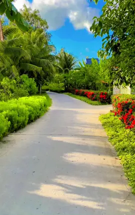 Đường quê chạy xe như cưỡi ngựa dị 😆😆#xuhuongtiktok #fyp #nhachaymoingay #canhdepmientay #chill #quehuong 