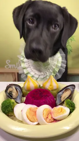 #labrador #Foodie #pets #dog #cute 