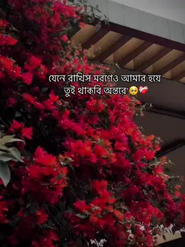 যেনে রাখিস মরণেও আমার হয়ে তুই থাকবি অন্তরে..!🥺❤️‍🩹#foryoupage #viral #rehmanrocky_4 