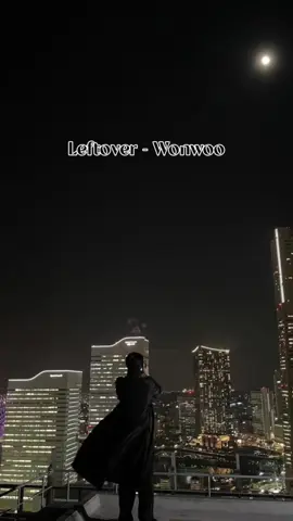 Leftover - Wonwoo (lyrics english translation) translation by wonwooszone (From X) #wonwoo #jeonwonwoo #leftover #lyrics 
