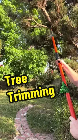 The Vevor 27 foot pole saw is an absolute game changer for reaching those super high branches. No need to hire a tree trimmer when you have this gardening tool in the shed. #treetrimmimg #vevor #vevortools #tree #treework 