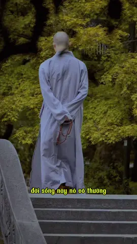 Đời sống này vô thường… #🙏🙏🙏 #phatphapnhiemmau #nammoadidaphat #phatgiao #cuocsong #tinhtam #tutam #suminhtue 