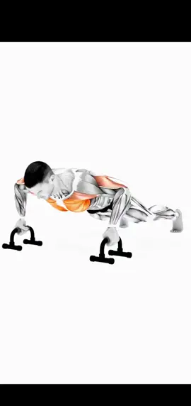 Lagartijas en barra   #Rutina #Gimnasio #mancuernas #Fitness #entrenamientoonline #encasa
