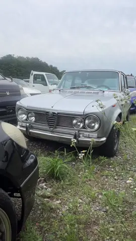 #alfaromeo #alfaromeogulia #fyp #classiccar 