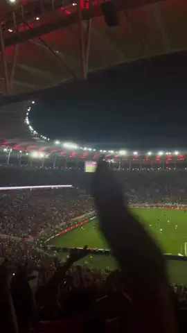 você pagou com traição... 🔥🔴⚫ #flamengo #maracana #foryou #fyp #viral #video 